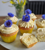 Snap Cover Flower Honey (310g x 12) Koska